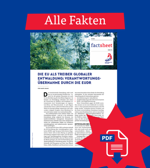 PDF-Factsheet zur EUDR über die Rolle der EU bei globaler Entwaldung sowie Maßnahmen für entwaldungsfreie Lieferketten zum Download.